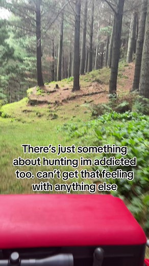 I cant be the only one. #hunting #nz #nzhunting #huntingnz #stag #kiwi #kiwi #deer #quote #outdoors #farming #fyp #bikes