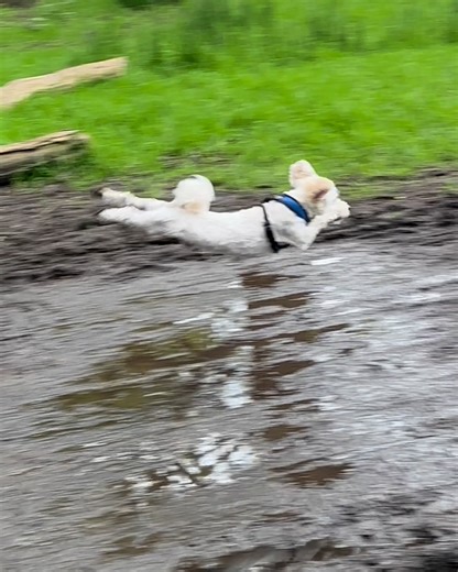 The way he FLEW 😂 | LADbible