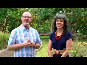 Andrographis Benefits | LifeSeasons Weekly Tonic Episode 94