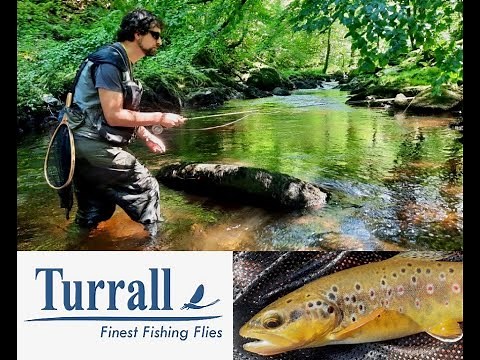 Fly Fishing Devon's River Lyn, Exmoor, around National Trust Watersmeet, with Dom Garnett