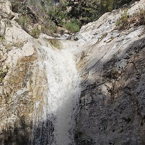 109 reactions · 11 comments | Michael Fishman on Reels | Facebook