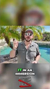 Wireless Thermometer Test Sous Vide Wagyu Ribeye