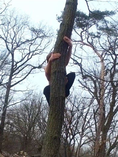 Exploring Primal Movement: Nature and Parkour Unleashed