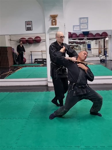 Mastering Kodachi Training in Bujinkan
