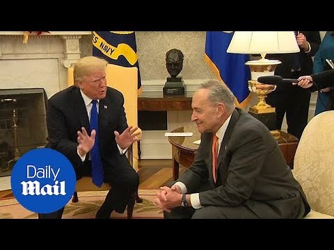 Trump tells Schumer he'll take the blame for government shutdown