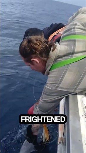 Fishermen Rescue Dolphin Trapped in Fishing Lines | Aegean Sea, Greece