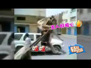 【轻松时刻-125】与人相处 其乐无穷 高清