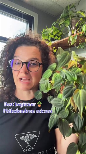Watch for signals, join my live to learn how. There are so many signal plants to learn from when you are just starting out with plants. Best way to learn from your plants….is watching. #tiktoklive #livehighlights #plants #learning #signalplants #fyp #foryou