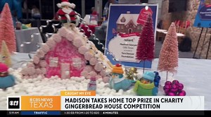 Madison Sawyer wins top prize in celebrity gingerbread house contest for charity