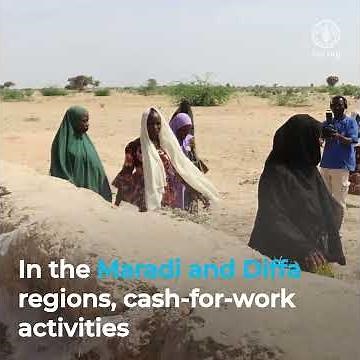 How FAO’s Anticipatory Actions protect rural livelihoods in the Niger