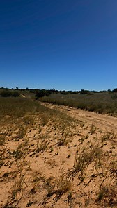 Just stop and braai.. Life is good. Ditsem Karoo Deli #kgalagadi #kalahari #transafricatours #tasafaris #trans_africa_tours #ariewarie #oppositelock #conqueror #Bushtechcanopies #ironman4x4africa #leatherandcanvas #onca #maxxistyres #skinsoothe #m_tech_communications #4x4_assist #manuprum #ubuntoe #maxxis #snappymeals #diekiaatbraaiplank1 #blessedlife | Trans Africa Self Drive Adventures and Tours