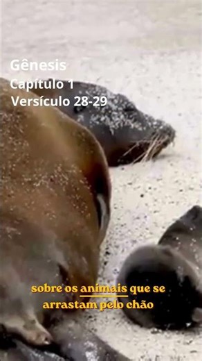 Você foi criado para isso… #universo #leiabiblia #motivacional