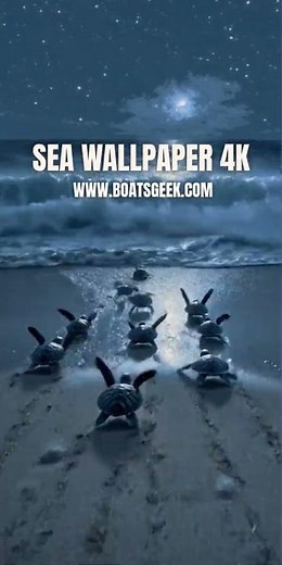Beautiful Sea Images 4K Wallpapers
