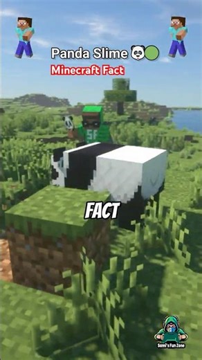 Minecraft Fact – 🐼 Why Baby Pandas Drop Slime Balls! #minecraft #minecraftshorts