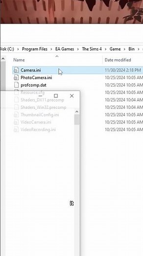 Make your camera stop bouncing in the sims!