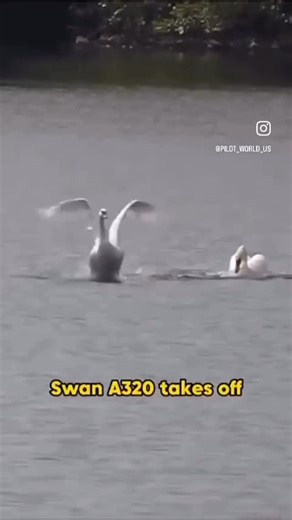 Donovan/Helping aspiring pilots make their dreams come true on Instagram: "👉The “Swan A320” Take off and Landing - Butter#😎🙏👍🤣✈️ Are you an aspiring pilot looking for the right Flight School so you can start learning those “Swan” landings? Go to my linkinBIO and check out my resources I created just for you. Or just comment FLIGHT and a free guide will come right over. Thanks for the follow here @theaviatormethod . #learntofly #flightschool #pilot #flightinstructor #flighttraining #generala