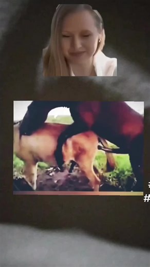 animals video animals tiktok animals mating horse mating donkey mating #Royaume-Uni #États-Unis #France #Allemagne #Brésil