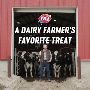 American Dairy farmers love Dairy Queen treats almost as much as they love their dairy queens. (cows) | Dairy Queen