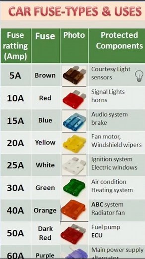 Car Fuse Types and Their Uses Explained 🔌 | Auto Fuse Chart for Beginners #shorts"