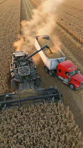 Tanque Colheitadeira: A Revolução da Agrotecnologia