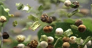 Super slow motion macro of spinning mixing poured spicy seeds, fresh herb leaves and vegetables in transparent glass filmed high speed cinema camera at 1000 fps.