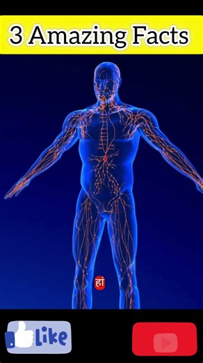 “Science itni crazy hoti hai, pata hi nahi tha! 😲✨”#ScienceFacts #MindBlowing