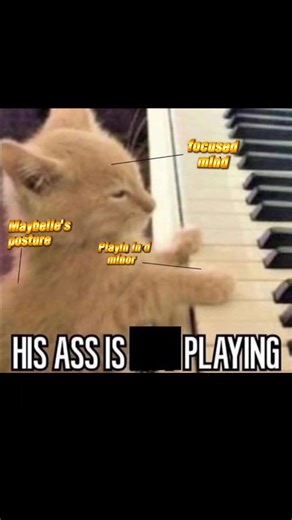 11 reactions · 4 comments | It's true! Cats like playin strathspeys too   | Outer Strathspace Folk Art | Facebook