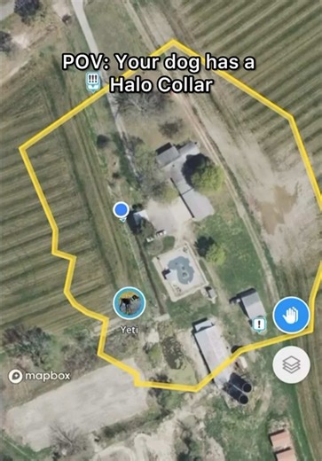 Keeping dogs SAFE and FREE — it’s what we do 😎🐾 Video via unleasheddog_training: “Thank you @halocollar! I can’t recommend this product enough. I highly suggest investing in a Halo invisible fence collar for your dog!” #halocollar #dogtrainers #dogtrainersofinstagram #doglovers