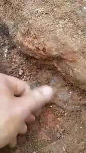 5.4K views · 31 reactions | As we get deeper our vein gets bigger! Mica,quartz,Siderite, and dreams! | GemFinding | Facebook