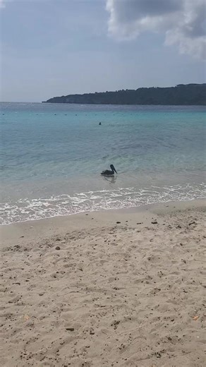 Redhead Road (@redheadroad)’s videos with sonido original - BACK TO THE 90's