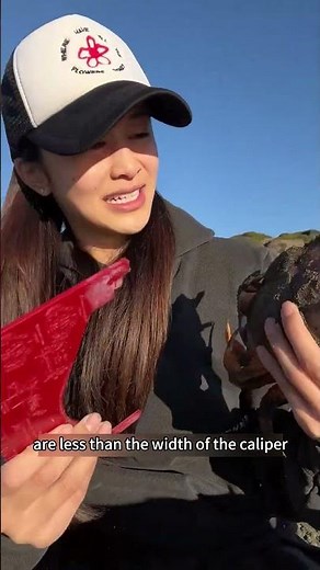 Use dead fish as bait to catch king crabs #rivercrab