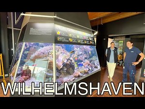 The Wilhelmshaven Aquarium | There was also seawater | Merry Christmas to you all.