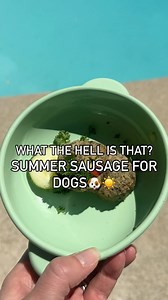 What the hell? 😱 We made Doggy Sausages! Comment “SUMMER” to get the recipe☀️⛱️ Full recipe linked in bio🔗🐶 #sausage #sausagerecipe #bbq #summerbbq #poolparty #poolside #homemadedogfood #quickrecipe #easy #easyrecipe #dogtreats | Dog Child