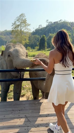 The most beautiful creatures!