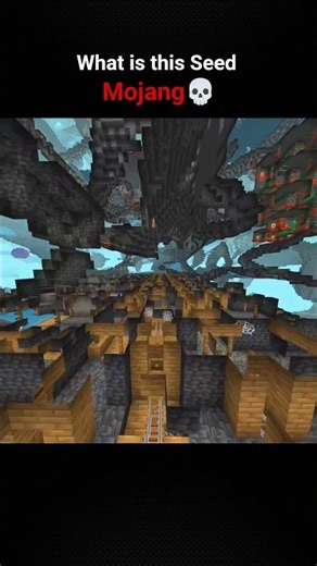 Minecraft Craziest infinte mineshaft seed moments