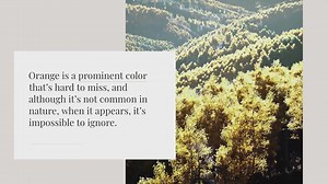 14 Spiritual Meanings of the Color Orange