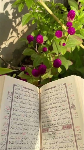 online quran learning