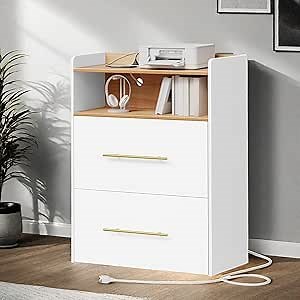 DWVO 2-Drawer Lateral File Cabinet with Charging Station, Large Printer Stand with Storage Shelves, Filing Cabinets for Home Office, White