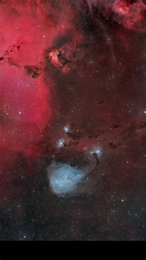 Greg Meyer on Instagram: "IC 447, often called Dreyer’s Nebula, is a blue reflection nebula about ~2,600 light-years away, where interstellar dust scatters light from young stars. HaRGB, 21 hours total integration time. .Sky-Watcher Esprit 80mm, FL 400mm. Player One Uranus-M, 7-slot Phoenix filter wheel, Primaluce Essato focuser, Primaluce Arco Rotator. Orion 60mm guidescope and ZWO ASI120mm Mini Guide camera. Controlled by Primaluce Eagle 3 & NINA on a Sky-Watcher Wave 150i mount. #astronomypho