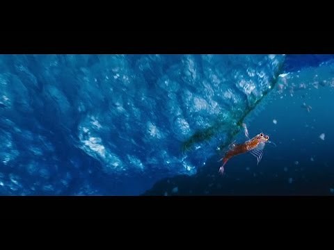 Happy Feet Two