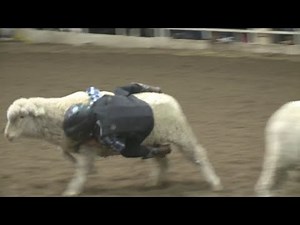 Mutton busting takes place at National Western Stock Show