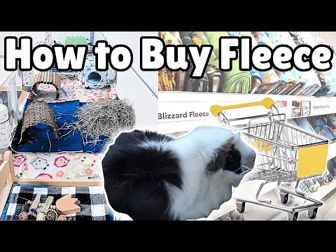 How to Buy Fleece for Guinea Pigs // DIY Cage Liner Series Part Two