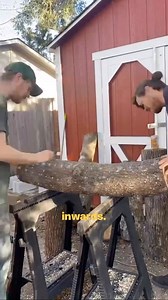 North Spore on Reels