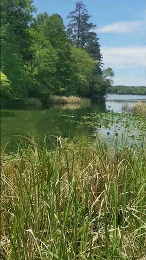 Tyler State Park, Texas - Lakes, Pines & Peaceful Trails