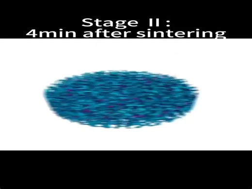 In-situ 3D visualizations of microstructural evolution during hot-pressing sinte