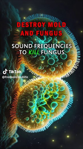 Eliminate Mold and Fungus with Sound Frequencies