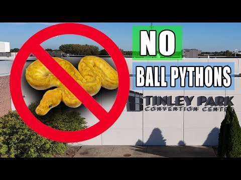 NO Ball Pythons Allowed!