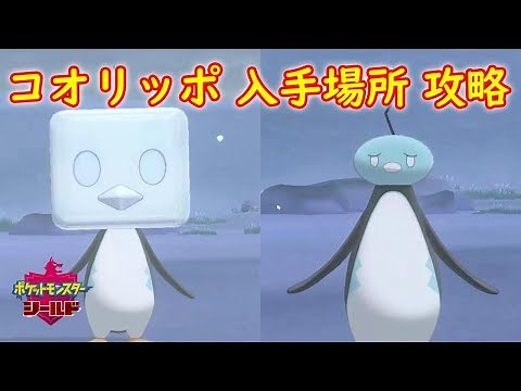 【コオリッポ】入手場所 攻略【ポケモン ソード シールド ポケモン剣盾】