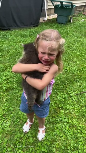 Baby raccoon= instant chaos & cuteness overload 💀 #animals #raccoon #babyraccoon #cuteanimals #fyp
