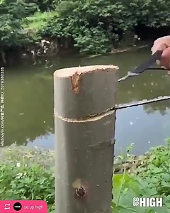 6.5K views · 45 reactions | Want to learn woodworking but dont know where to start- no experience at all?Get Woodworking Plans that comes with step-by-step instructions and detailed photos - Over 16,000 Woodworking Plans - With CAD/DWG software to view/edit plans -Step-by-step instructions with photos - High quality blueprints and schematics -Lifetime members area with woodworking videos. ✅✅  GET Yours Today: https://linkpop.com/masterwoodworking | Master WoodworkingArt | Facebook